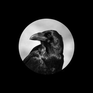 高清国产AV一区二区三区
