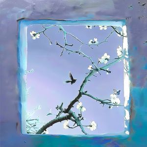 大鸡吧插视频在线观看
