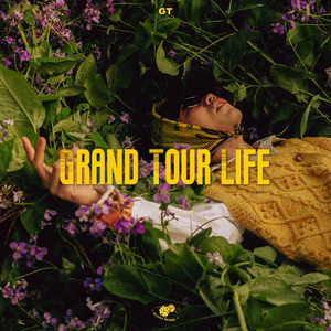 大鸡吧插视频在线观看
