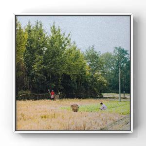 程程程美人图秀人网
