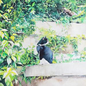 日韩亚洲欧美中文高清在线
