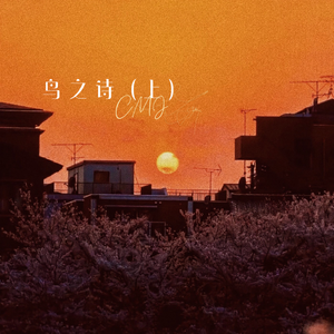 女星露点AV在线看
