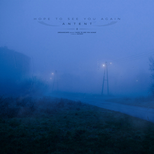 大鸡吧插视频在线观看
