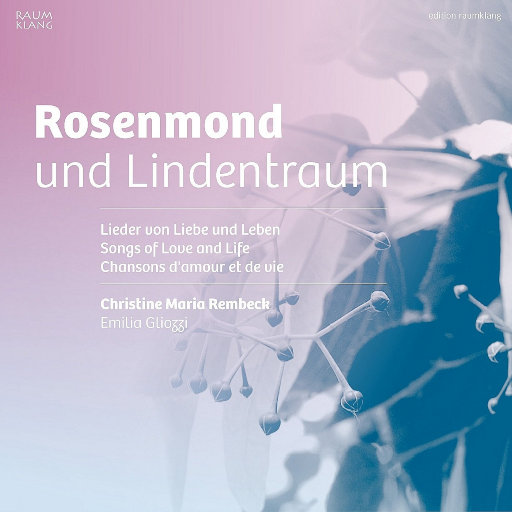 黄色免费在线看
